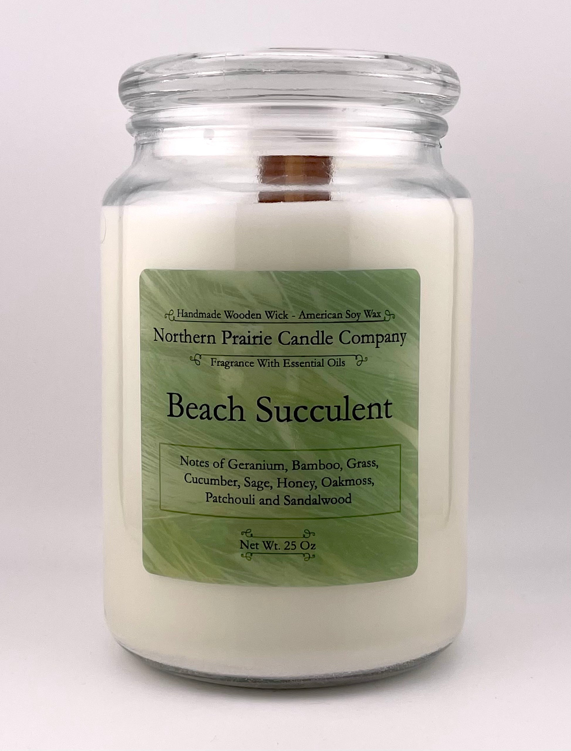 candle succulent class Beach Succulent – Northern Prairie Candle Company