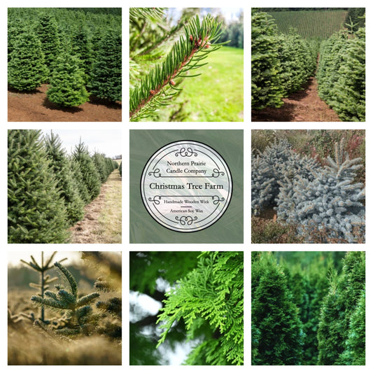 Christmas Tree Farm